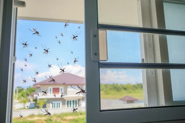 Custom mosquito net fitted on a window in a Dubai home