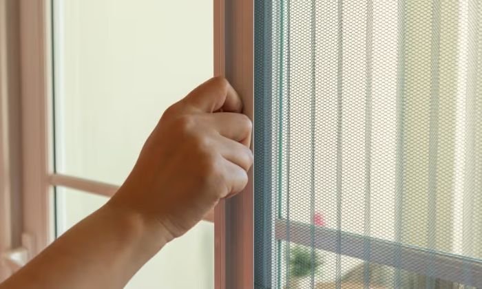 Mosquito Net Doors vs. Traditional Doors