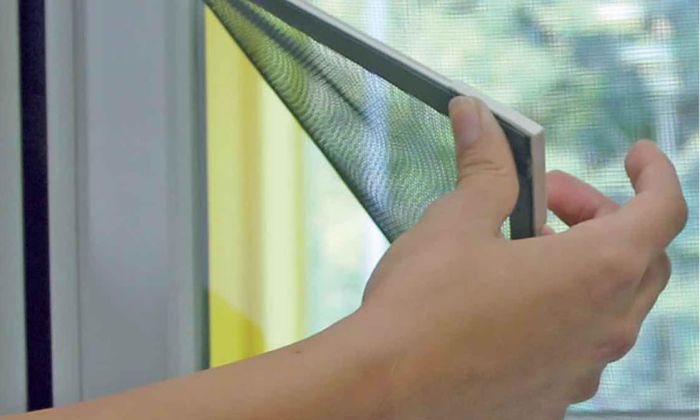 Fly Screen